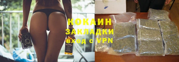 индика Пестово