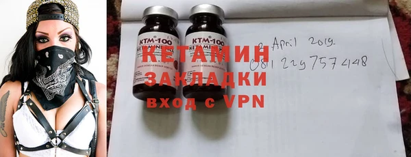 индика Пестово