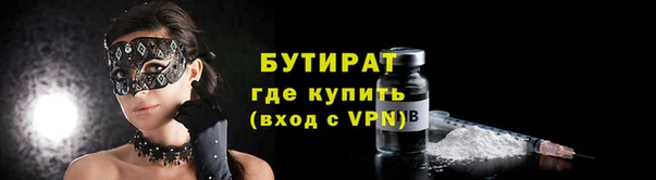 индика Пестово