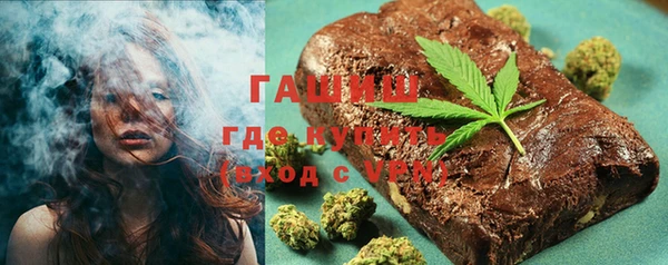 индика Пестово