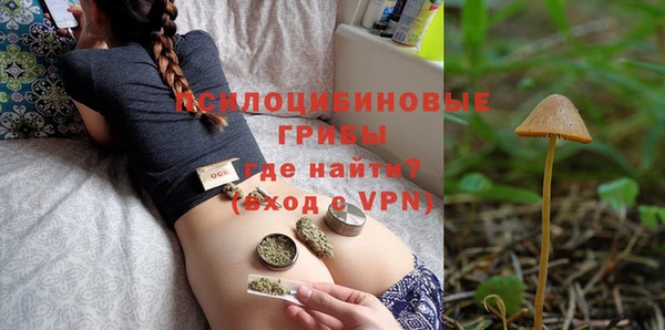 эйфоретик Переславль-Залесский