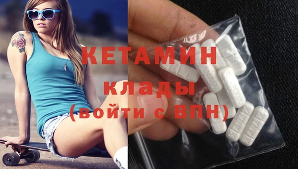 индика Пестово