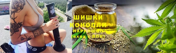 индика Пестово