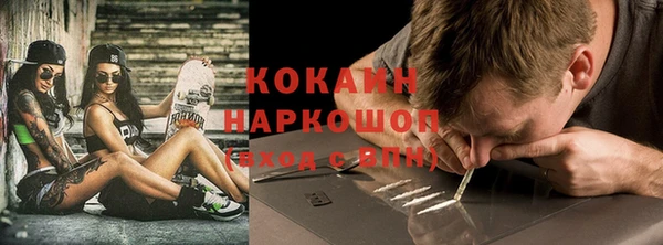 индика Пестово