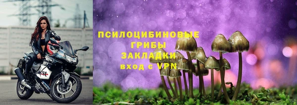 стафф Пересвет