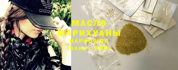 индика Пестово